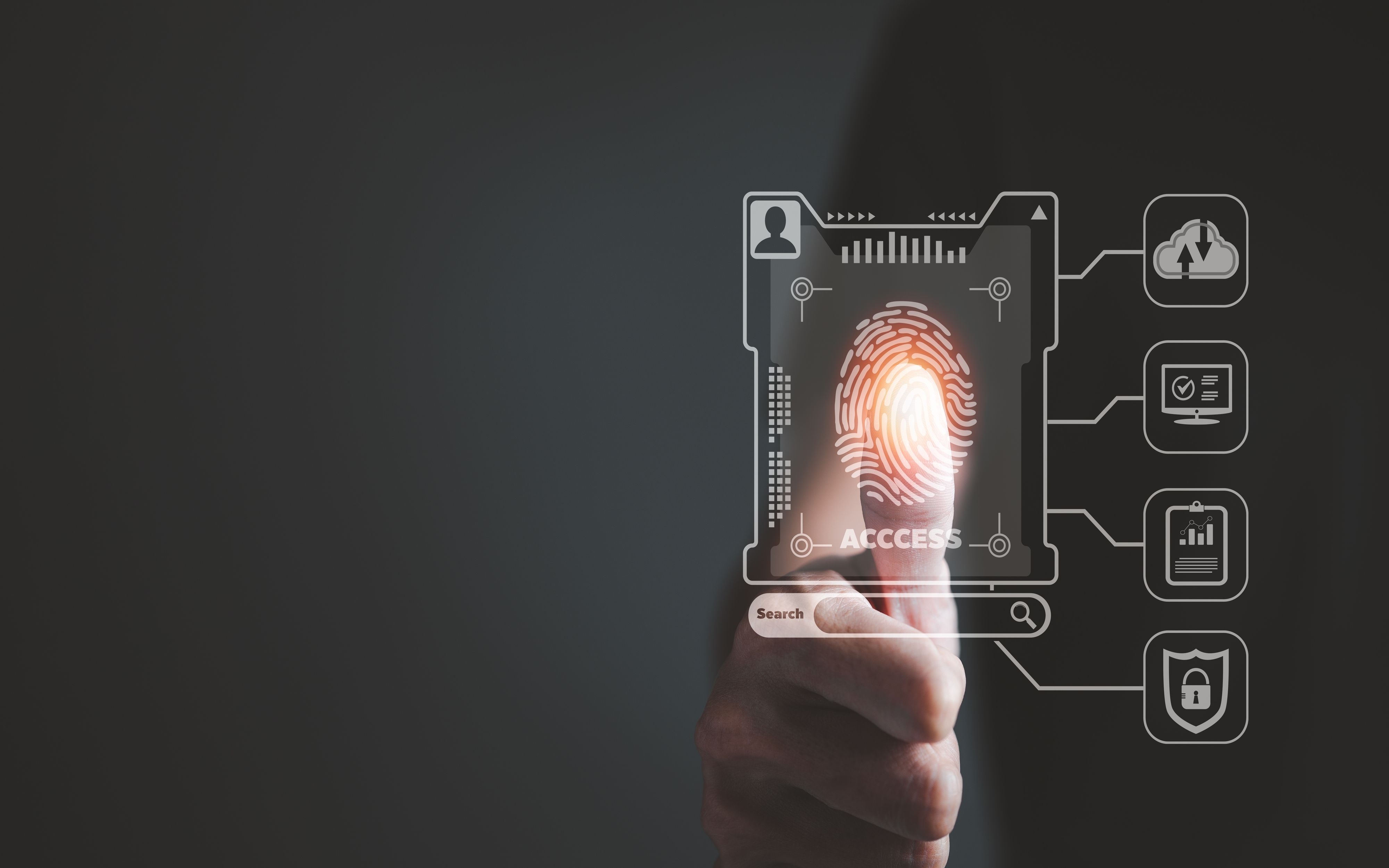 Hologram Fingerprint Biometric